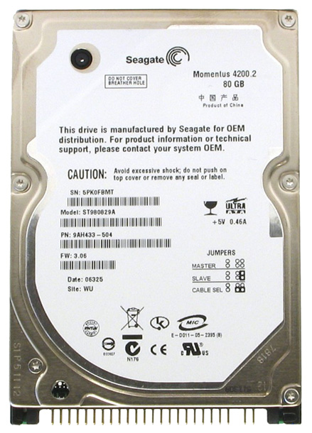 жесткий диск Seagate ST980829A 